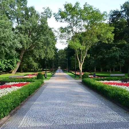 Апартаменты Golden Line