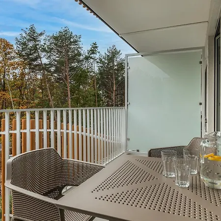 Golden Line * Свиноуйсьце